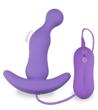 Load image into Gallery viewer, Analvibrator Bally