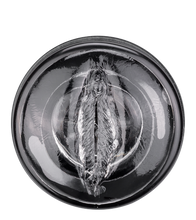 Load image into Gallery viewer, Automatischer Masturbator mit Rotation und Saugfuß