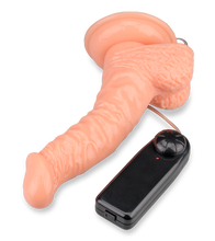 Load image into Gallery viewer, Dildo-Vibrator mit Aderung und Saugfuß