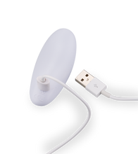 Load image into Gallery viewer, Ferngesteuerter Paarvibrator Danny