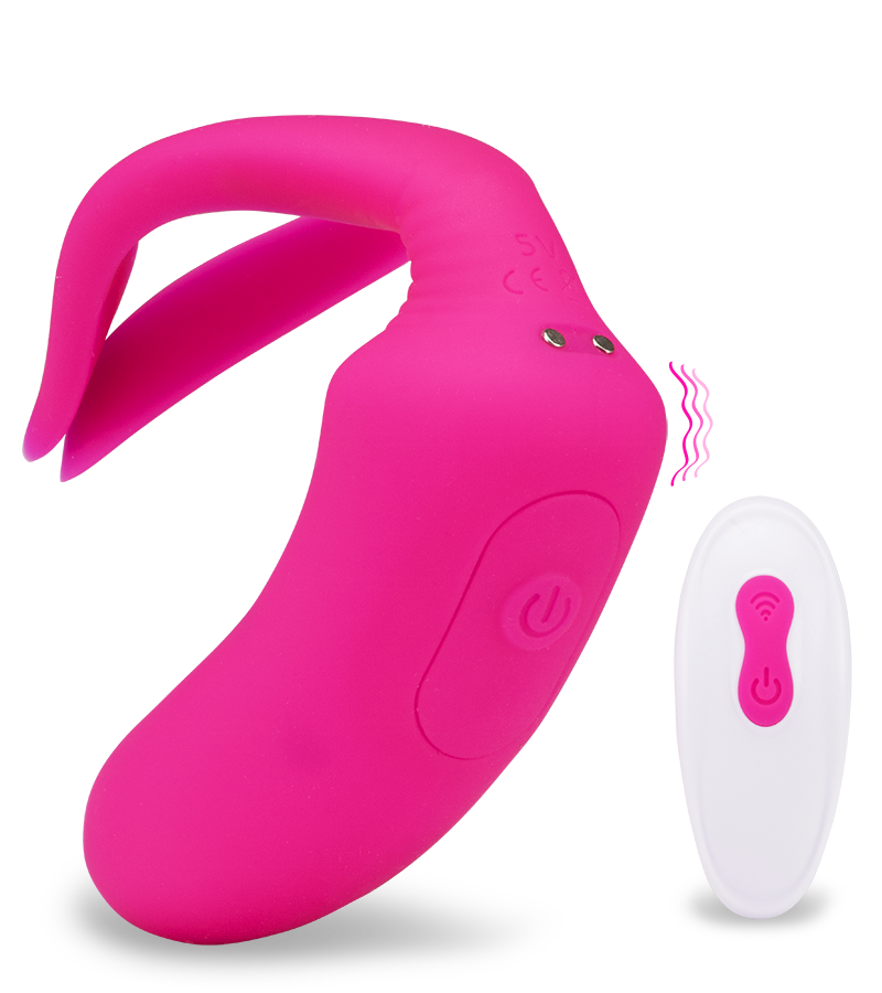 Ferngesteuerter Paarvibrator Danny