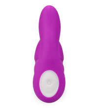 Load image into Gallery viewer, Ferngesteuerter Prostatastimulator Albert