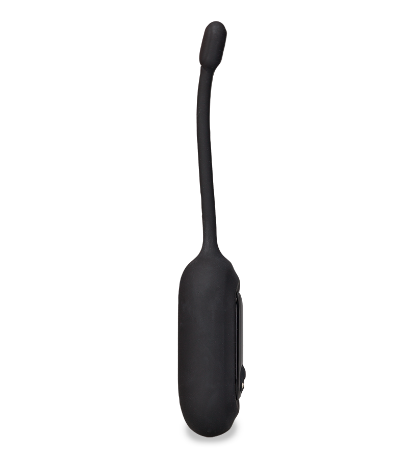 Ferngesteuertes Vibroei Eureka