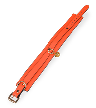 Load image into Gallery viewer, Fluoreszierendes Halsband mit Leine in Orange