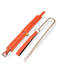 Load image into Gallery viewer, Fluoreszierendes Halsband mit Leine in Orange
