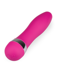 Load image into Gallery viewer, Minivibrator Moonlight