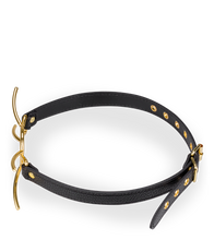 Load image into Gallery viewer, Mundsperre Spider 3,8 cm