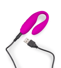 Load image into Gallery viewer, Paar-Vibrator Lov'Inside