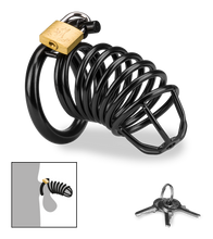 Load image into Gallery viewer, Peniskäfig Little Prisoner