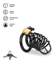 Load image into Gallery viewer, Peniskäfig Little Prisoner