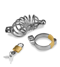 Load image into Gallery viewer, Peniskäfig mit Harnröhrenplug Delicious Chastity