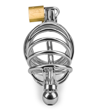 Load image into Gallery viewer, Peniskäfig mit Harnröhrenplug Delicious Chastity