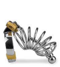 Load image into Gallery viewer, Peniskäfig mit Harnröhrenplug Delicious Chastity