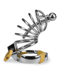 Load image into Gallery viewer, Peniskäfig mit Harnröhrenplug Delicious Chastity