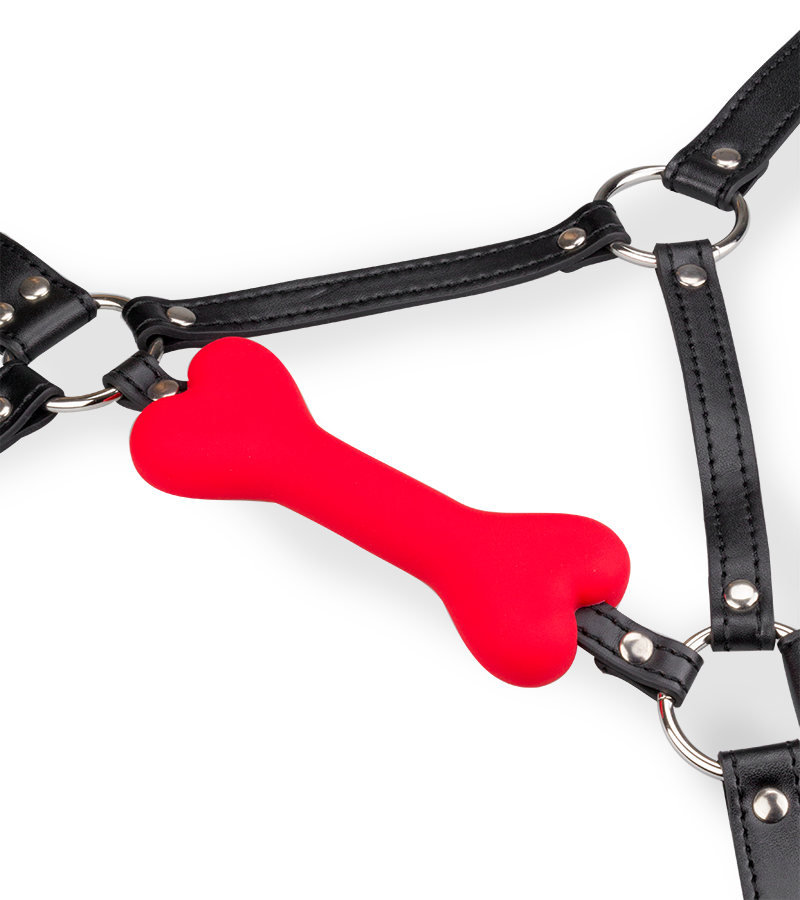 Puppy-Play-Kopfgeschirr mit Knebel aus Silikon 12,3 cm