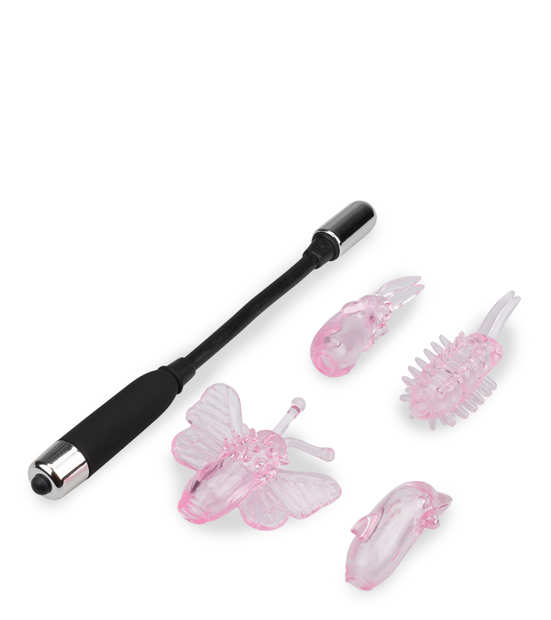 Vibrator mit 4 Aufsätzen