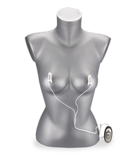 Load image into Gallery viewer, Zwei Klemmen für Elektrosex